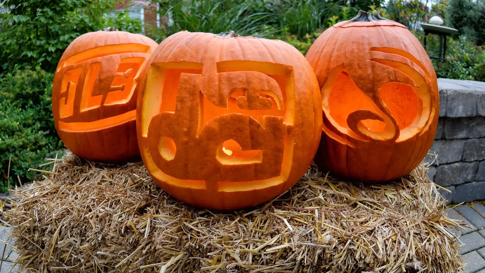 50+ pumpkin