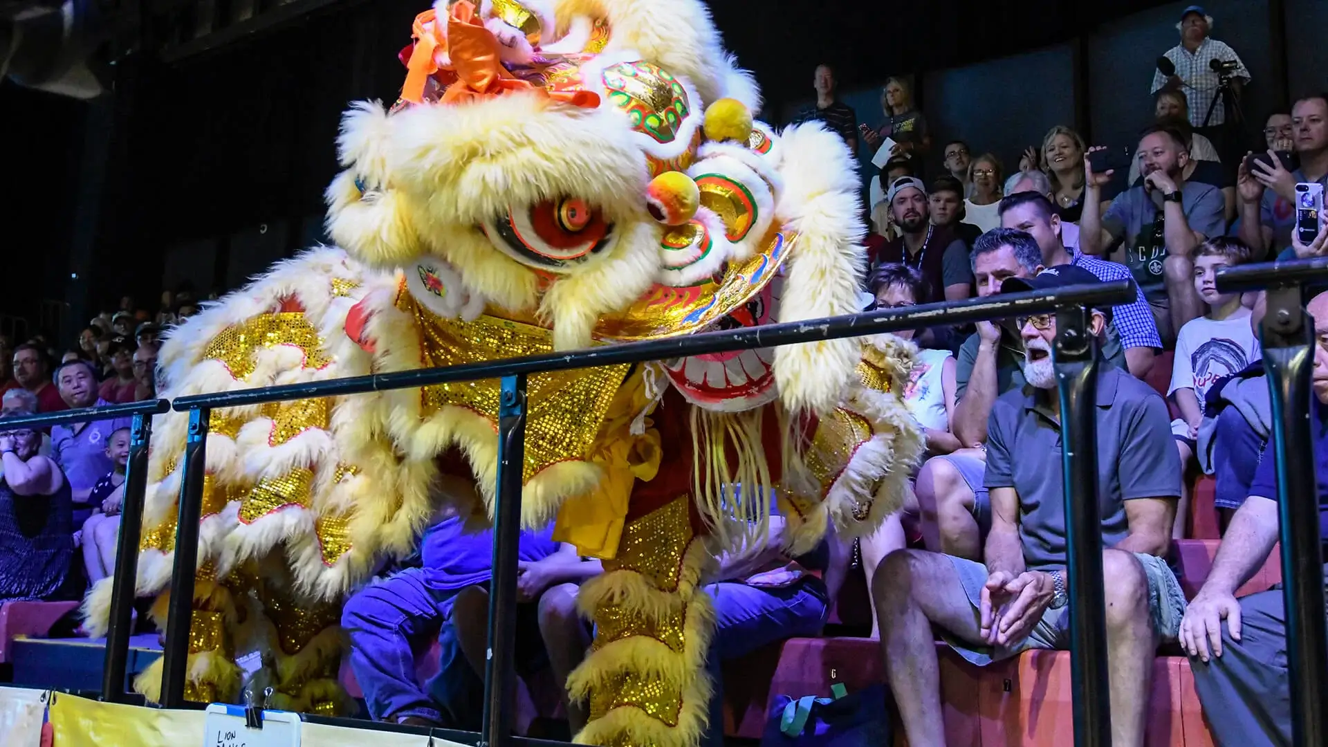 International culture on display at annual SoundSport festival